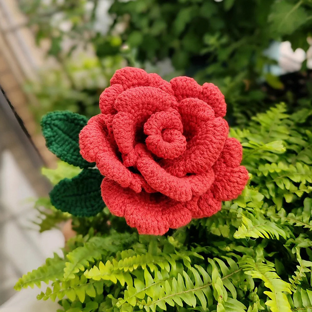 Champagne Rose Flower
