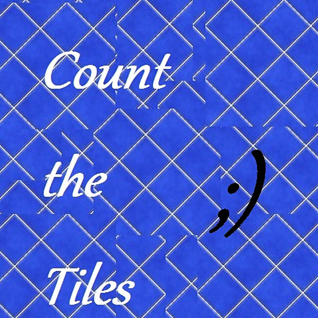 Count the Tiles shawl
