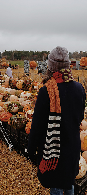 Ravelry: Spooky Season Scarf pattern by Julia Morozova
