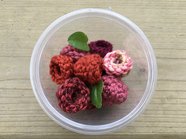 Raspberries_yunique garden