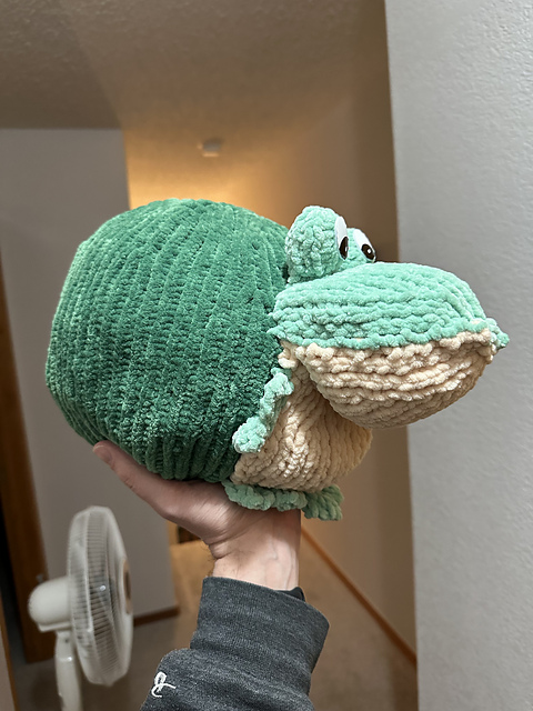 Round Alligators