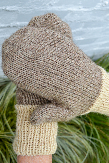 Kororā Mittens