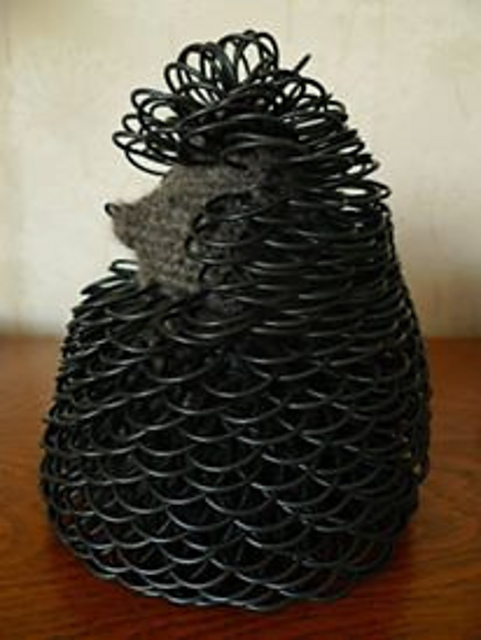 Curly Hodge