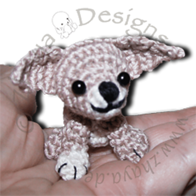 Tiny Chihuahua