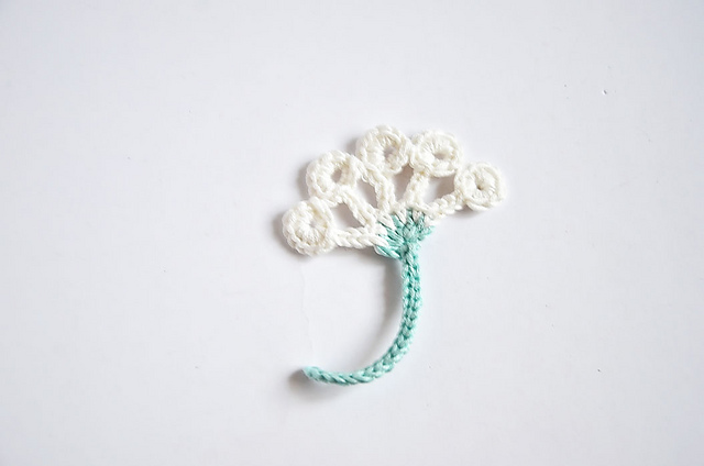 Umbel Lace Flower