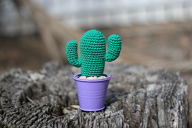 Saguaro Cactus #1 Señor Prickles