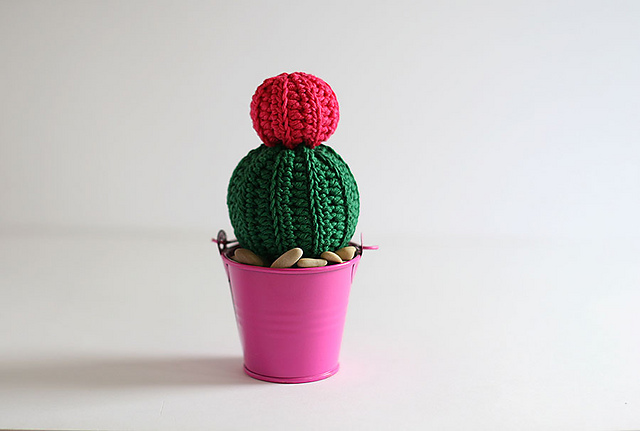 Pink Flower Cactus #2