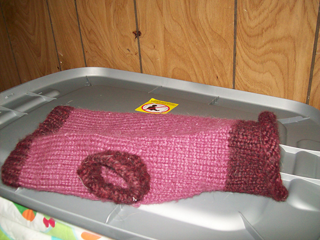Pampered Pooch Pullover