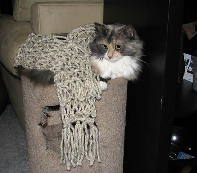 Spring Garter Scarf