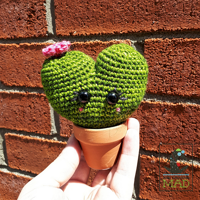 Mimi the Cactus