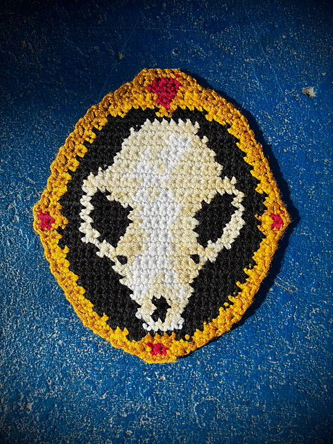Fox Skull in a Frame