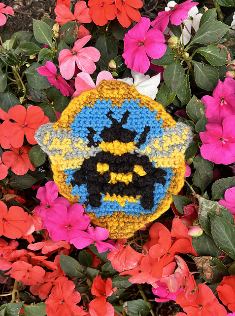 Bumblebee Frame