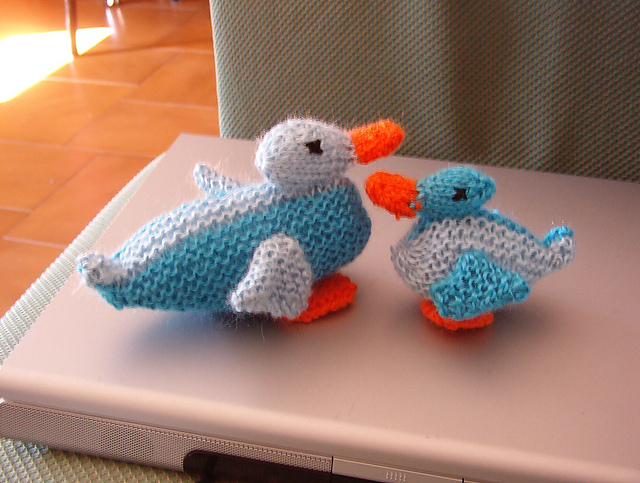 Ducks