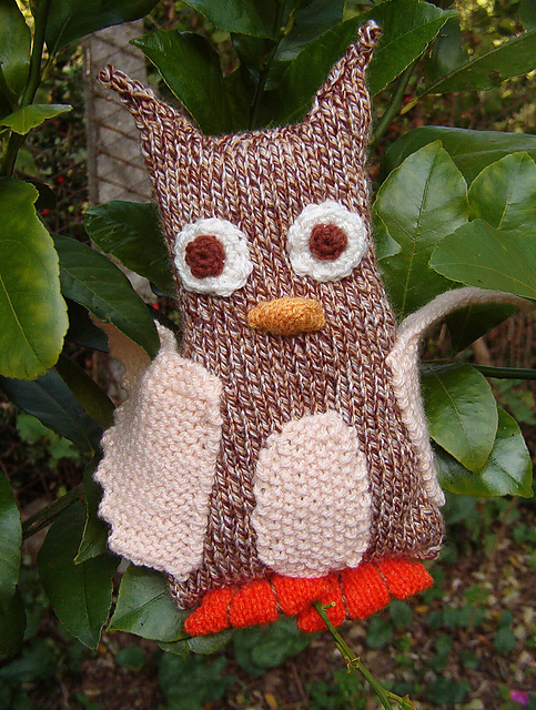 Ugo the Owl