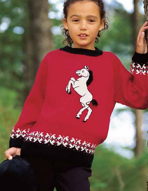 14911 Raglan Pullover