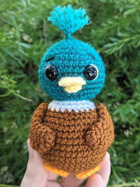 Duck