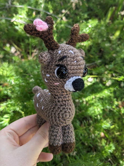 Deer