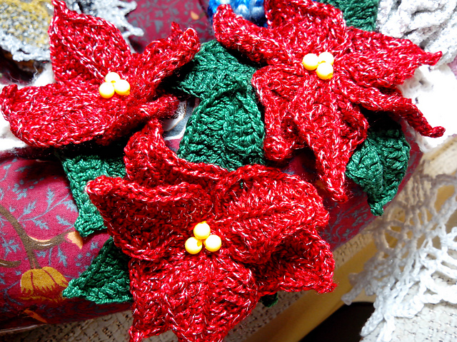 Poinsettia. Christmas flower