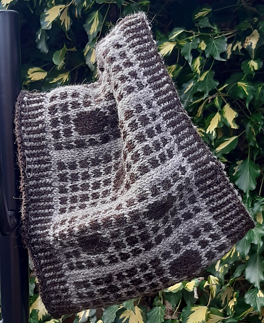 Dotty Pine Cowl