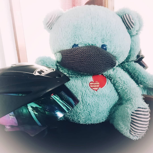 SAFETY MASK for safety riding
