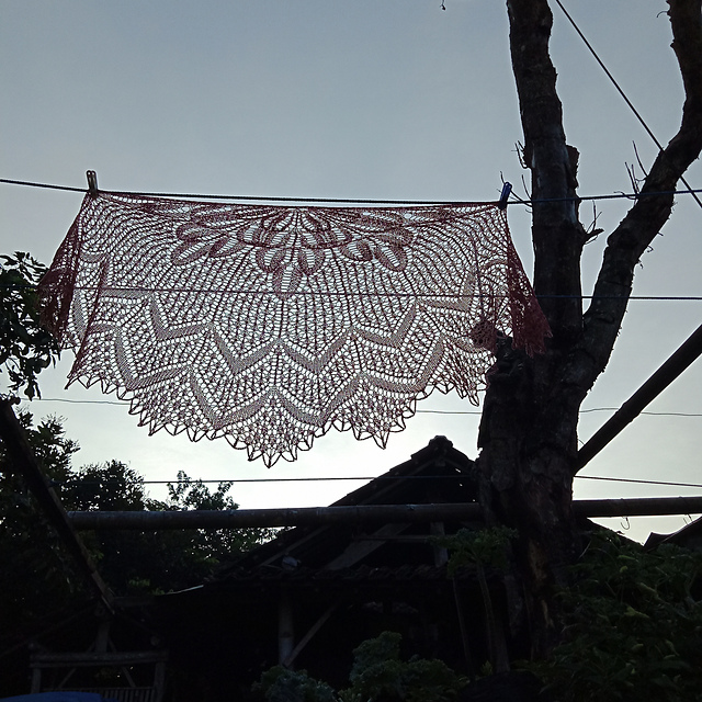 Serendipity shawl