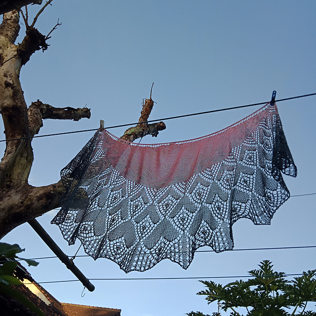 Valentine's Heart Knit Shawl