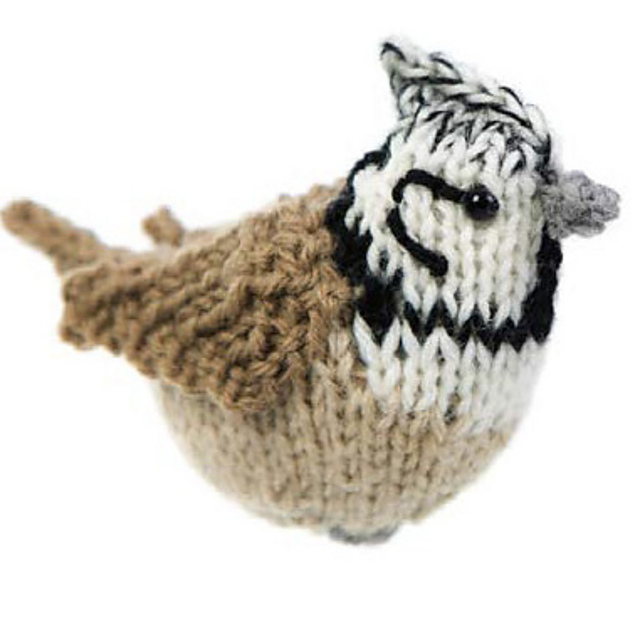 Crested Tit