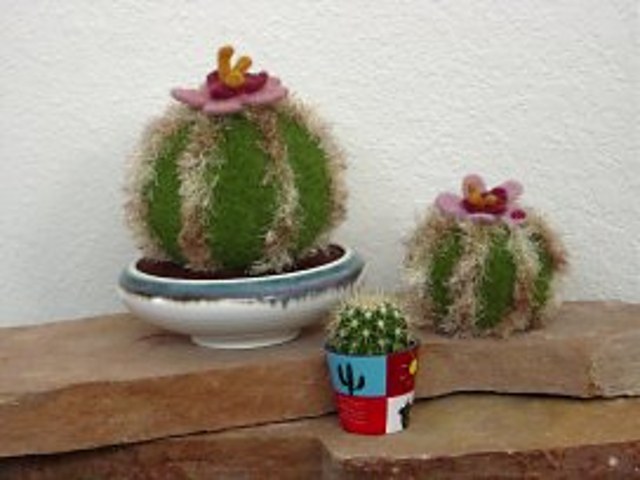 Felted Barrel Cactus