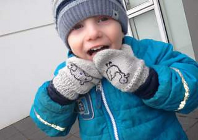 Piggy sweet mittens