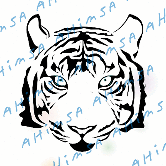 Ahimsa Tiger colorwork pattern