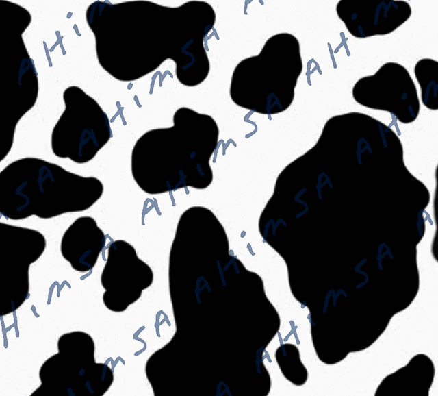 got cow? holstein spot charts large and small