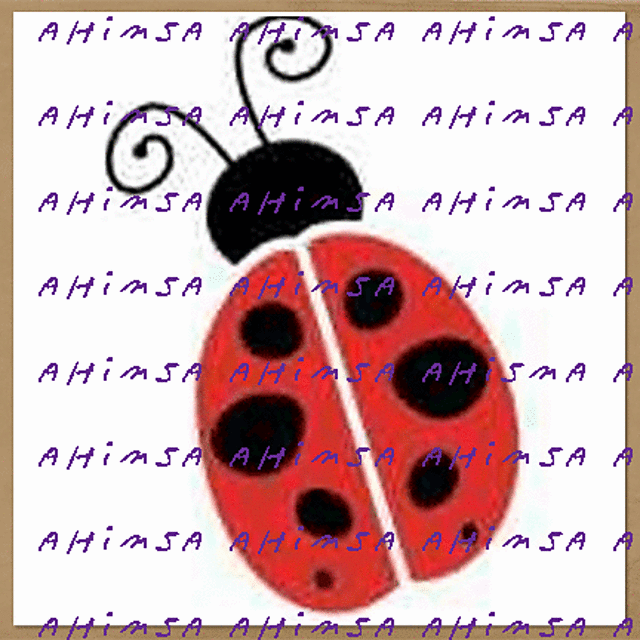 ahimsa lady bug chart