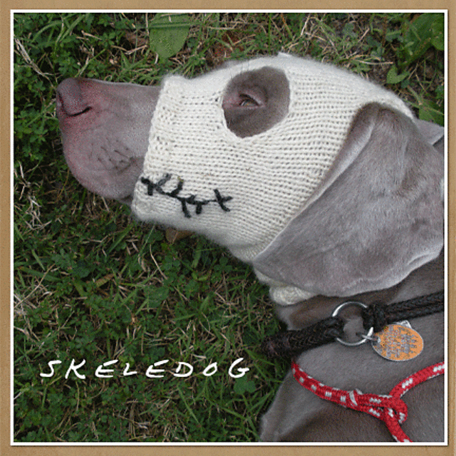 skeledog halloween snood/ mask
