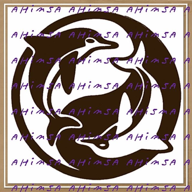 yin yang dolphin chart