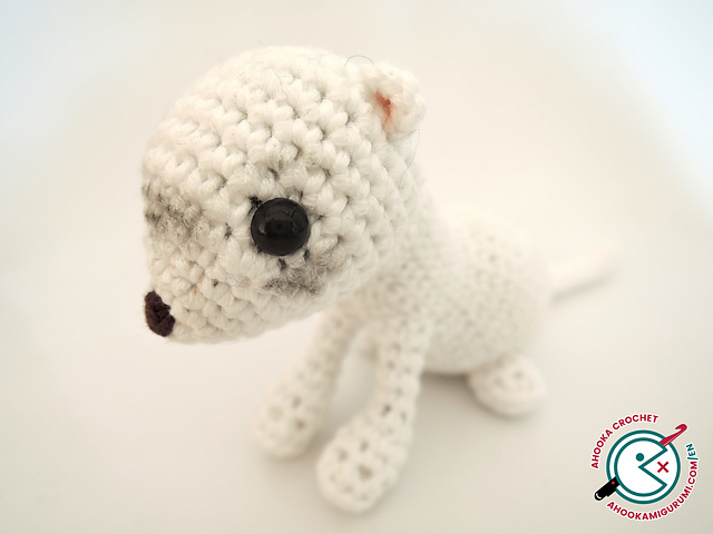Chipie, the white ferret