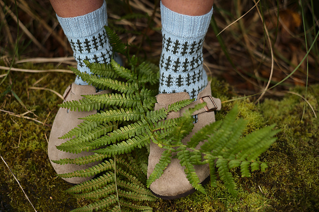 Ferndale Socks