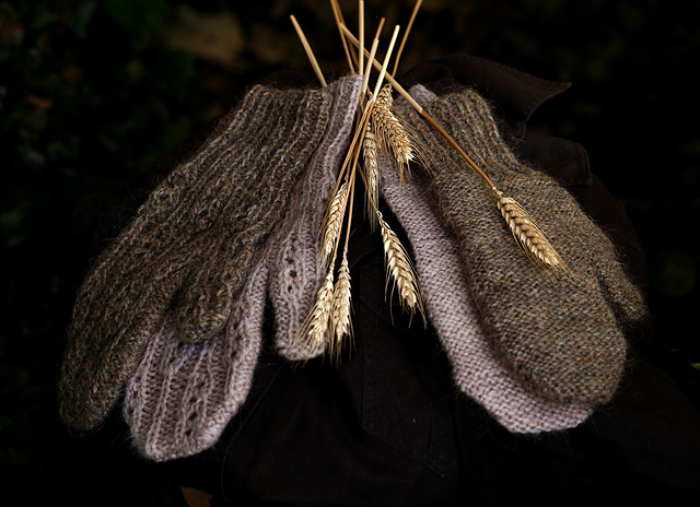 Harvest Season Mittens