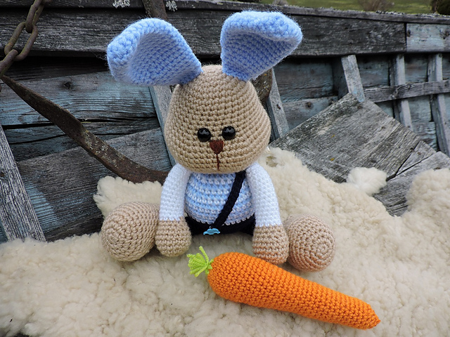 The Bunny Boy With Carrot