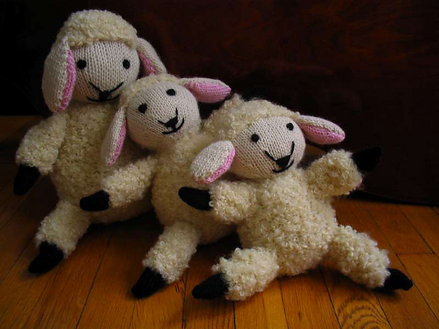 Lucy lamb