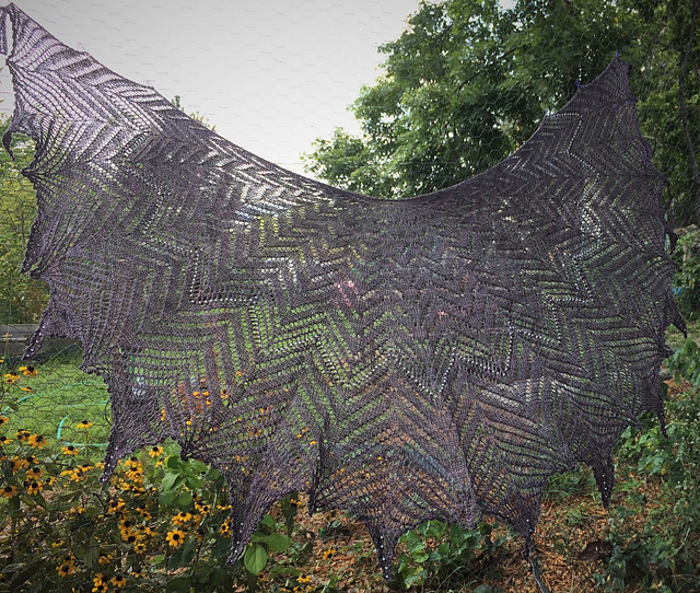 BlackBird's Wing