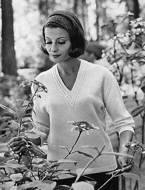 1224 Lady's Pullover