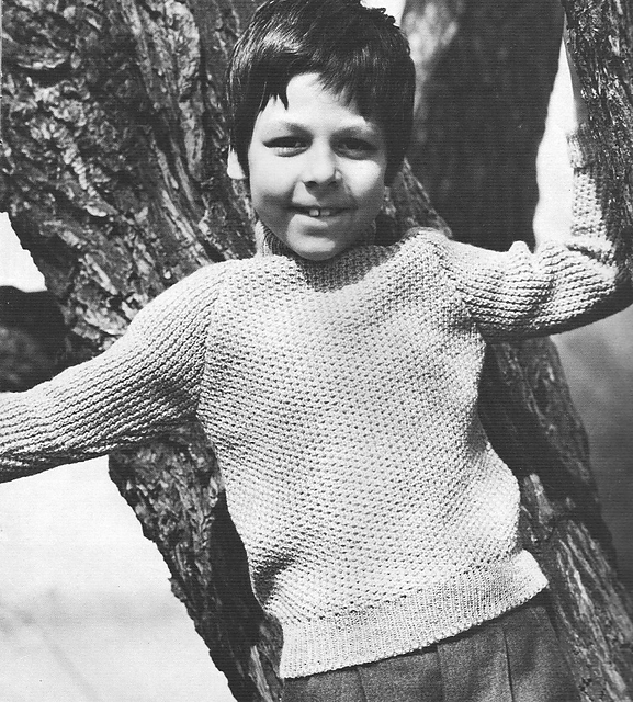 1651 Boy's Sweater