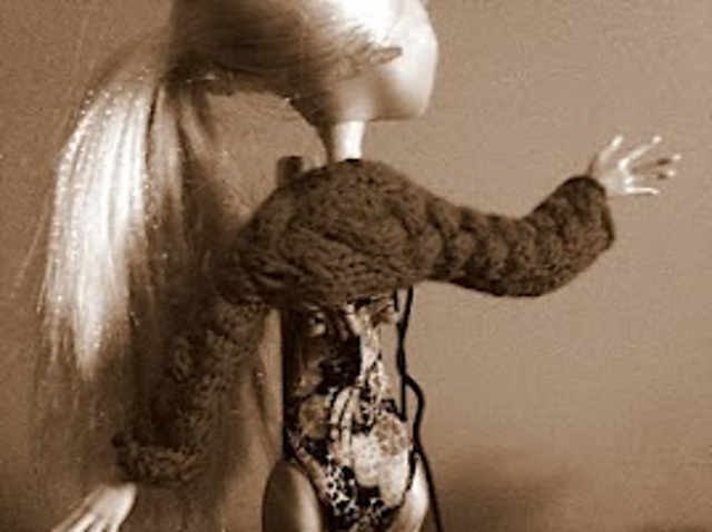Monster High Shrug and Capelets