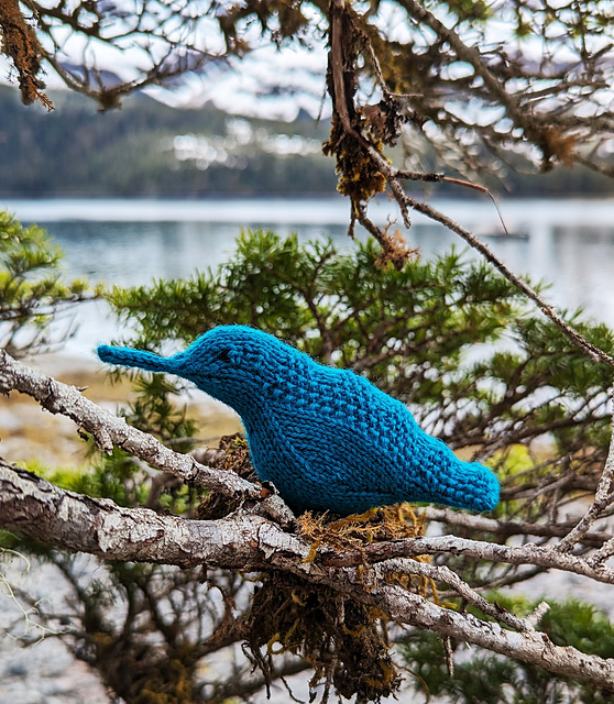 Gansey Hummingbird