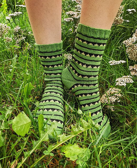 Swallowtail Caterpillar Socks