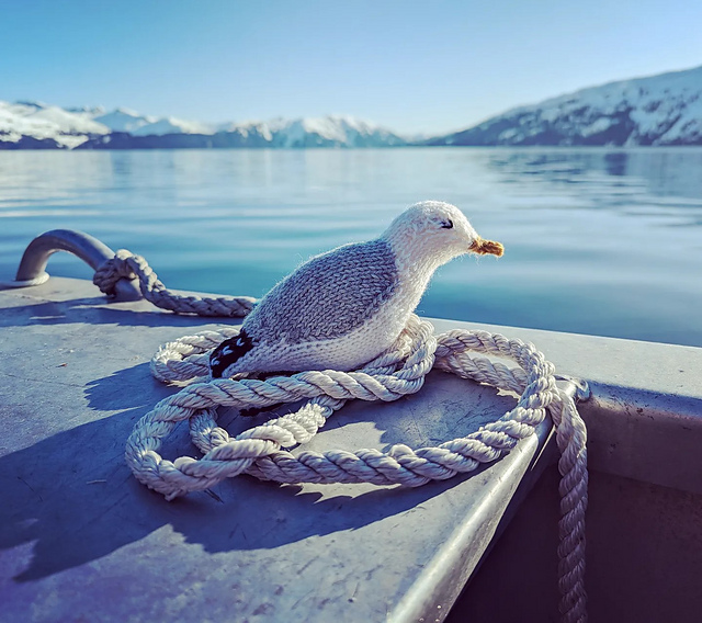 Knit Gulls & Kittiwakes
