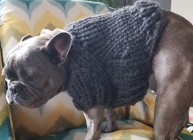 Mel Sweater for Frenchie