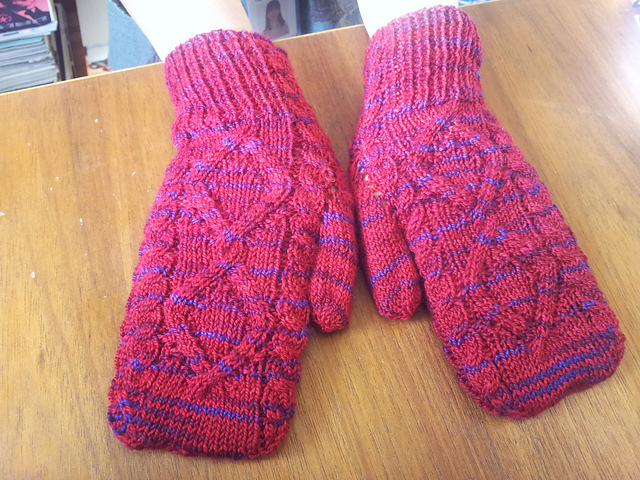 Window Mittens