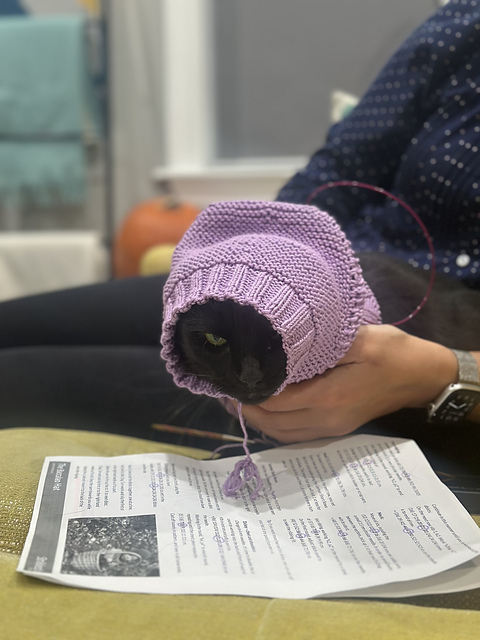 Baccalaolue / The Baccalao Hat