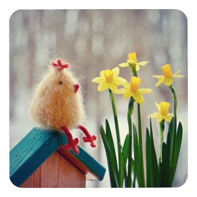 Easter chick
